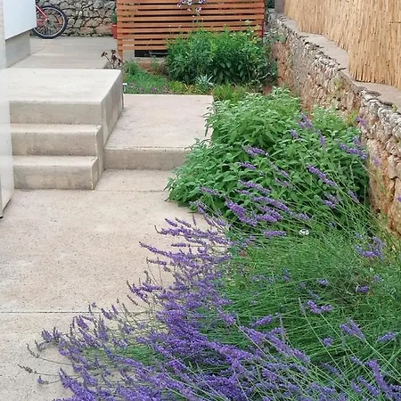 Piccolo Giardino דירה