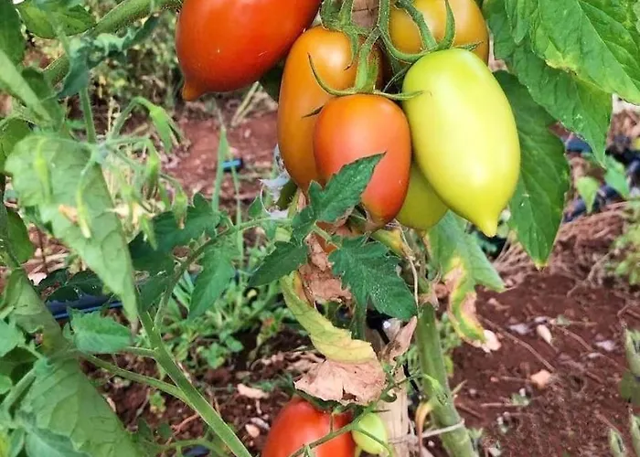 Piccolo Giardino Appartement Kali