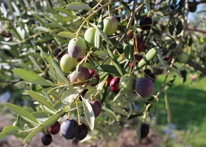 דירה Piccolo Giardino