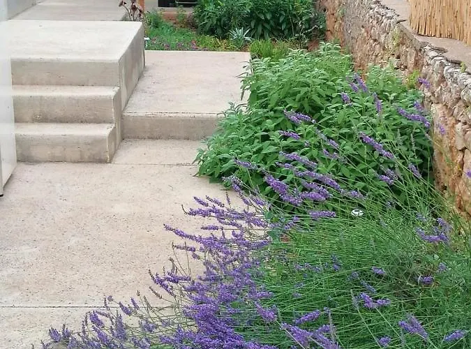 Piccolo Giardino Appartement